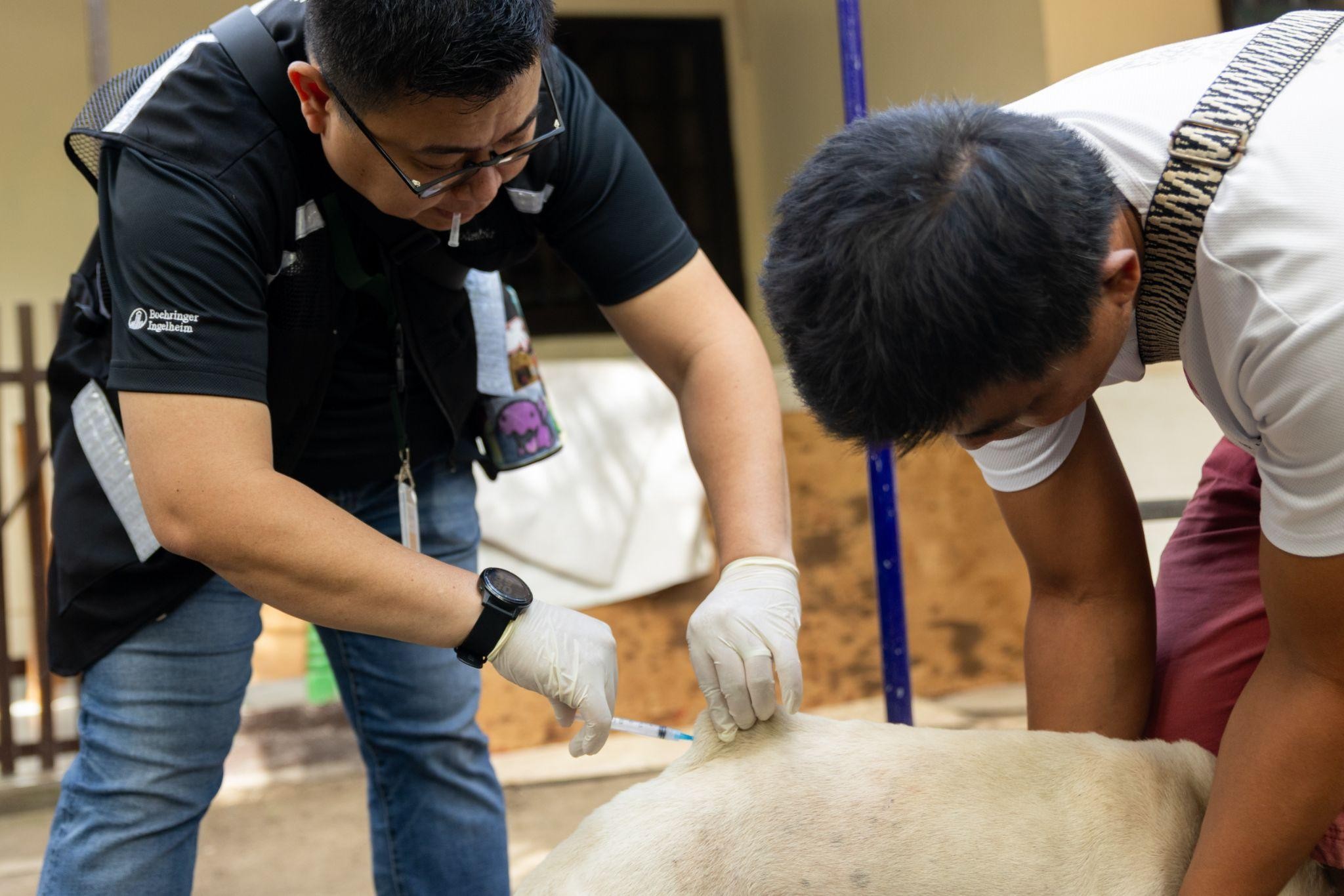Stop Rabies Empowers Communities Toward a Rabies-Free Philippines ...